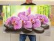 100x60 cm XXL 3D PVC dekorpanel, konyhapanel, műanyag fali kép - Orchidea Zen