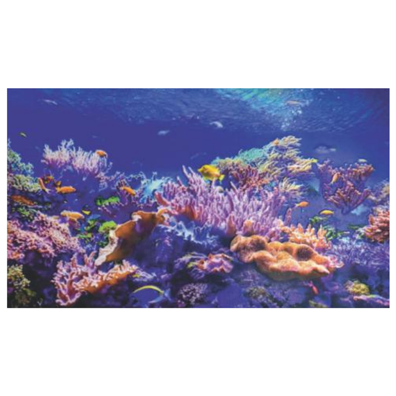 100x60 cm XXL 3D PVC dekorpanel, konyhapanel, műanyag fali kép - Coral Reef