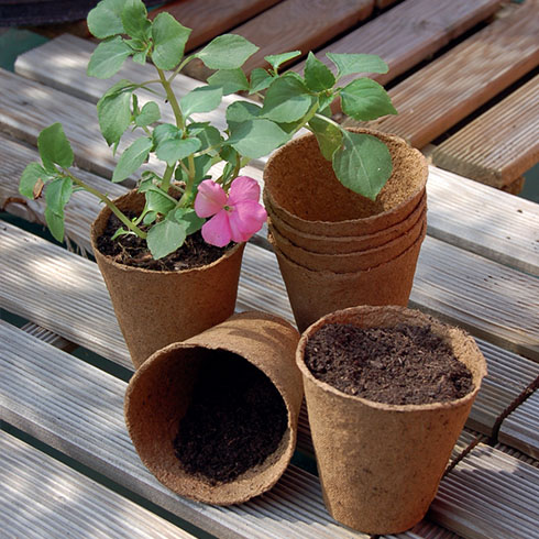 Growing Pots 6 cm-es tőzegcserép (24 db)