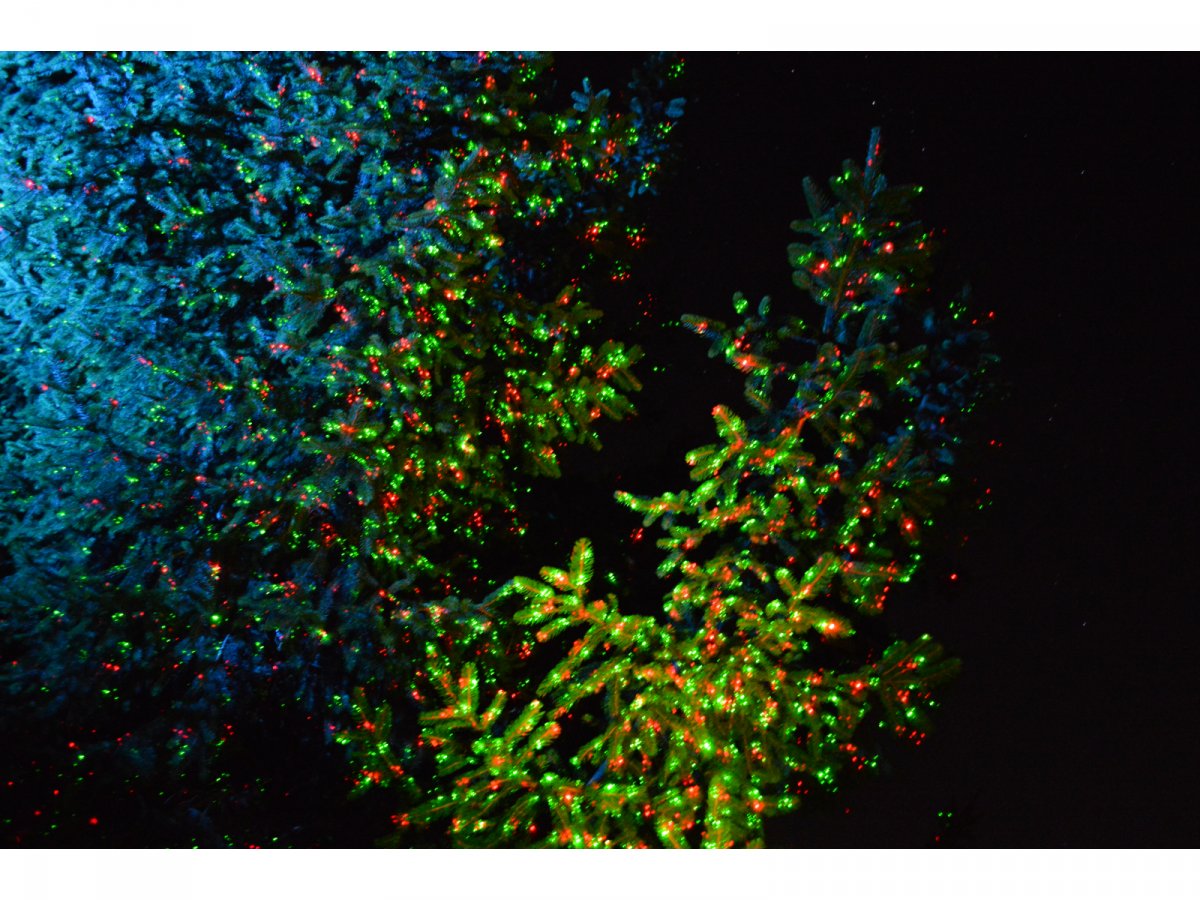 Fenyőfa színes led reflektorral és lézeres kivetítővel megvilágítva